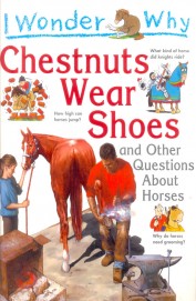 I Wonder Why - Chestnuts Wear Shoes