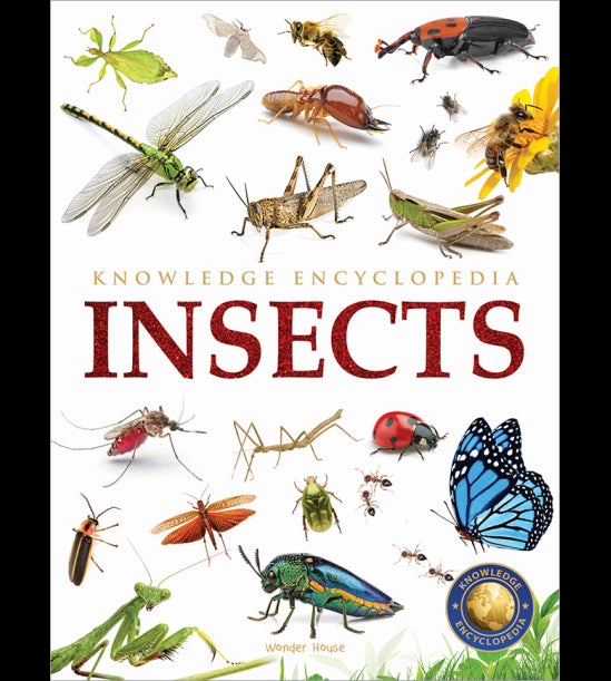 Animals - Insects : Knowledge Encyclopedia For Children