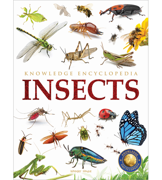 Animals - Insects : Knowledge Encyclopedia For Children