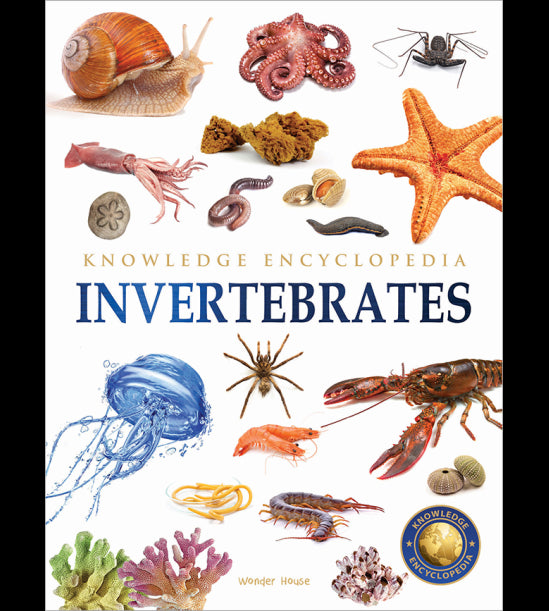 Animals - Invertebrates : Knowledge Encyclopedia For Children
