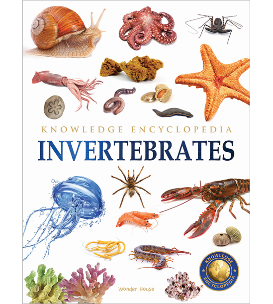 Animals - Invertebrates : Knowledge Encyclopedia For Children