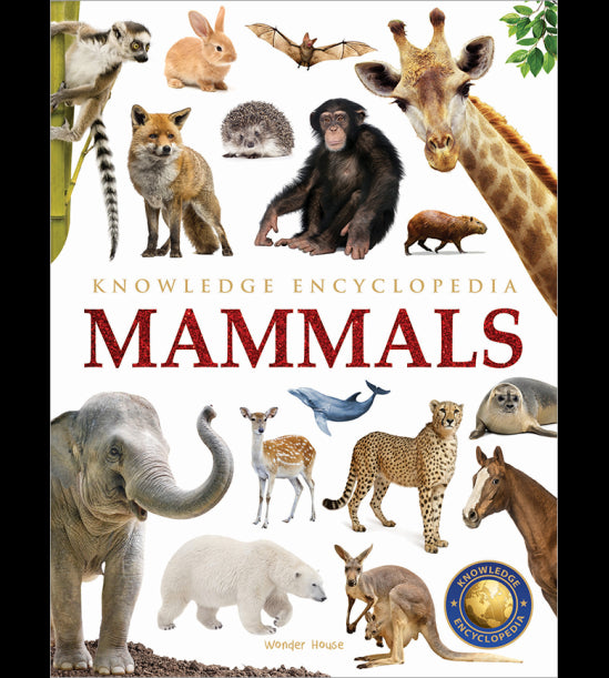 Animals - Mammals : Knowledge Encyclopedia For Children