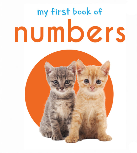 My First Book of Numbers: First Board Book
