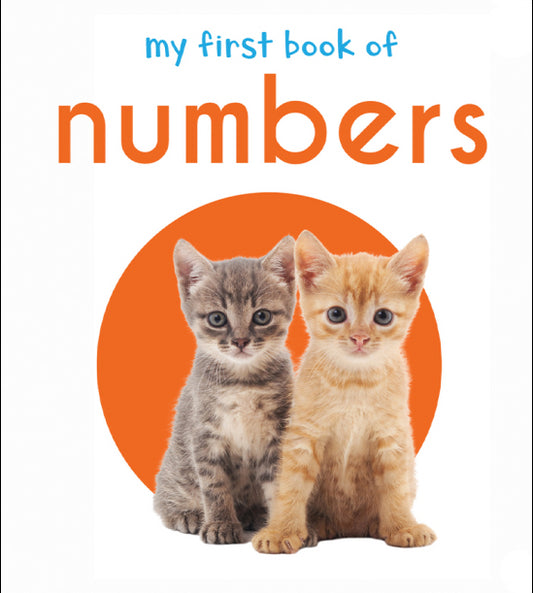 My First Book of Numbers: First Board Book