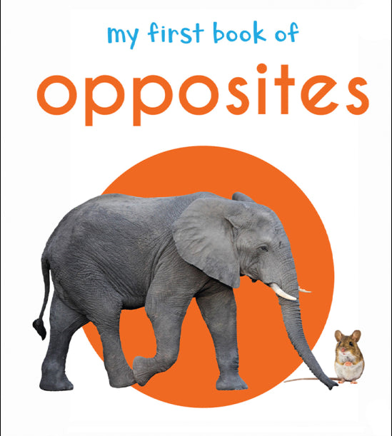 My First Book of Opposites: First Board Book