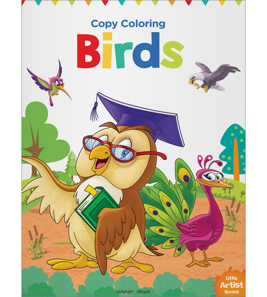 Little Artist Series Birds: Copy Colour Books