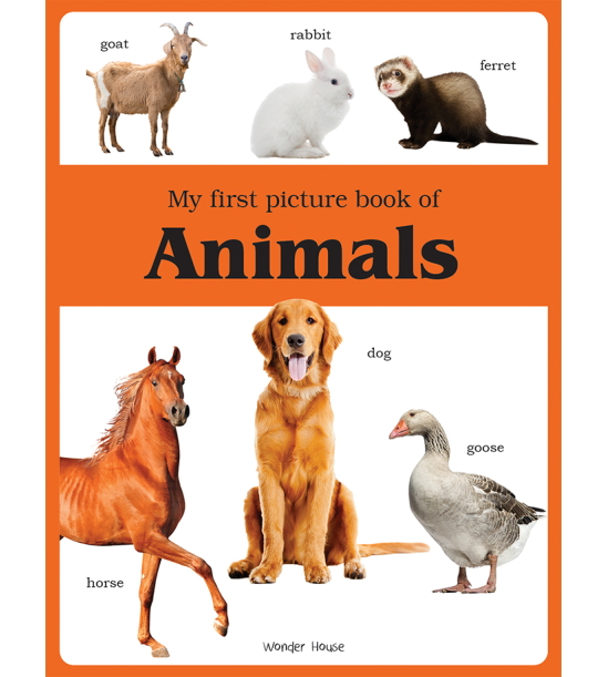 My first picture book of Animals: Picture Books for Children