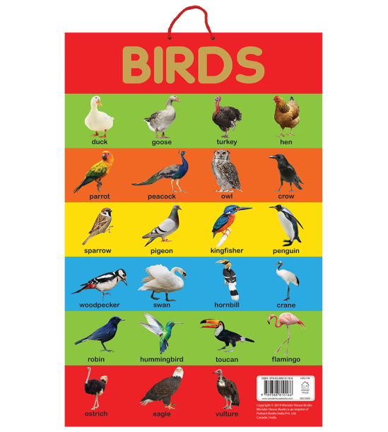 Birds - Early Learning Educational Posters For Children: Perfect For Kindergarten, Nursery and Homes