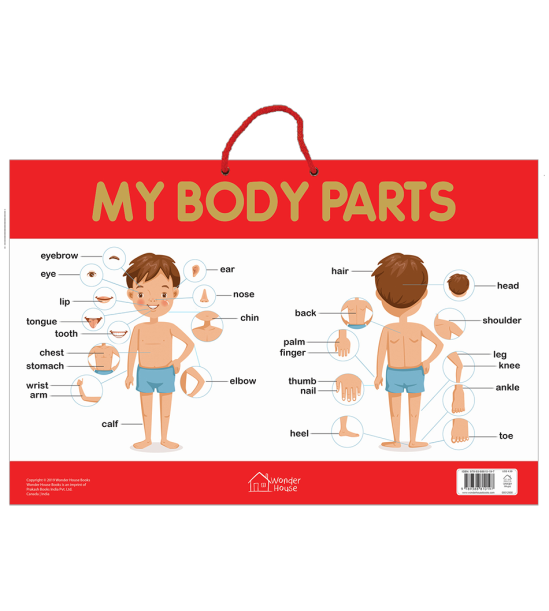 My Body Parts - Early Learning Educational Posters For Children: Perfect For Kindergarten, Nursery a