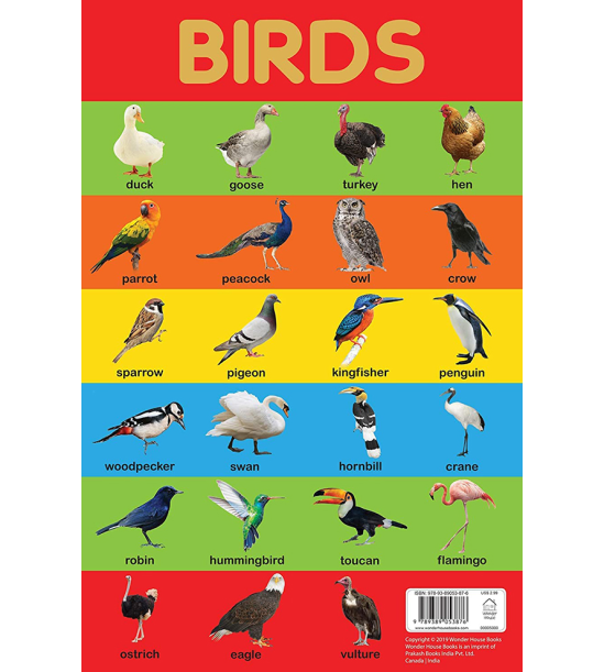 Birds Chart - Early Learning Educational Chart For Kids: Perfect For Homeschooling, Kindergarten and