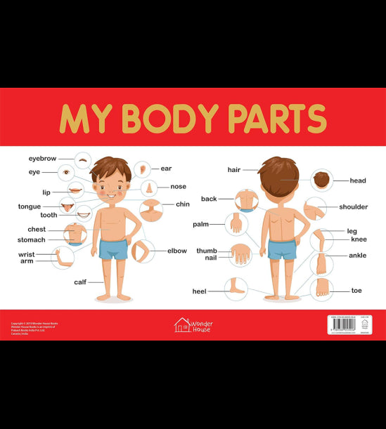 My Body Parts Chart - Early Learning Educational Chart For Kids: Perfect For Homeschooling, Kinderga