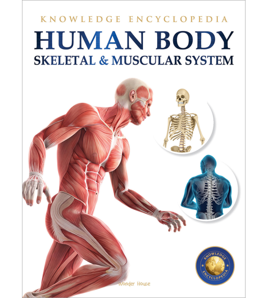 Human Body - Skeletal And Muscular System: Knowledge Encyclopedia For Children