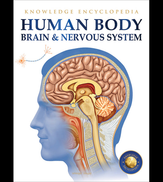 Human Body - Brain And Nervous System: Knowledge Encyclopedia For Children