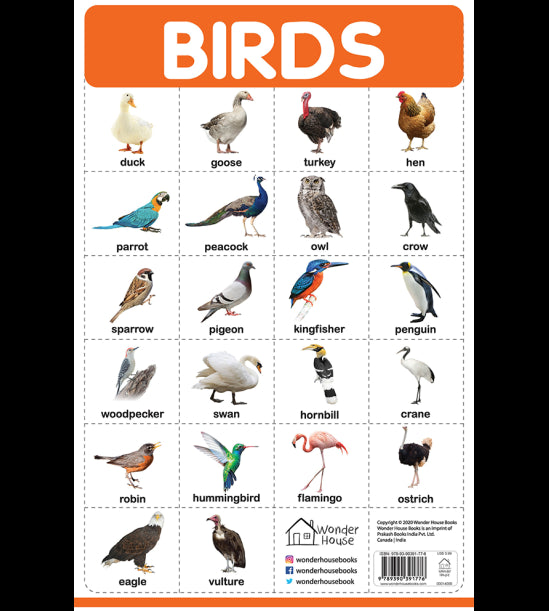 Birds - My First Early Learning Wall Posters: For Preschool, Kindergarten, Nursery And Homeschooling