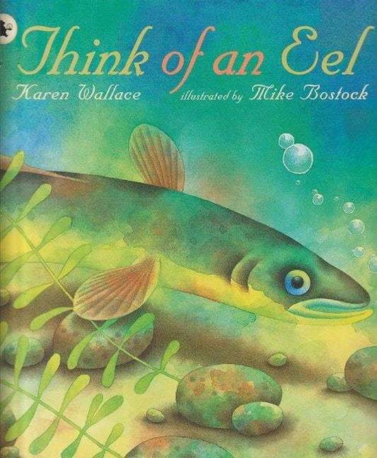 Think of an Eel