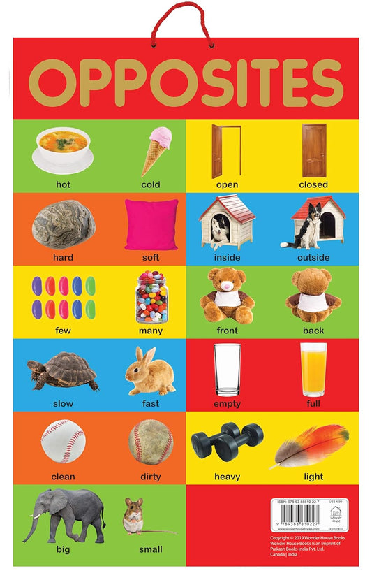 Opposites - Early Learning Educational Posters For Children: Perfect For Kindergarten, Nursery and H