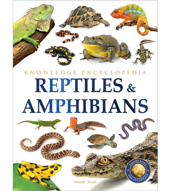 Animals - Reptiles and Amphibians : Knowledge Encyclopedia For Children
