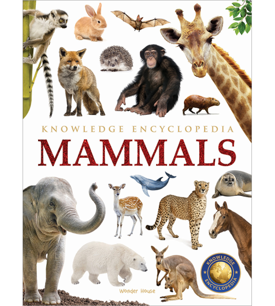 Animals - Mammals : Knowledge Encyclopedia For Children