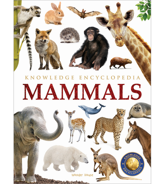 Animals - Mammals : Knowledge Encyclopedia For Children