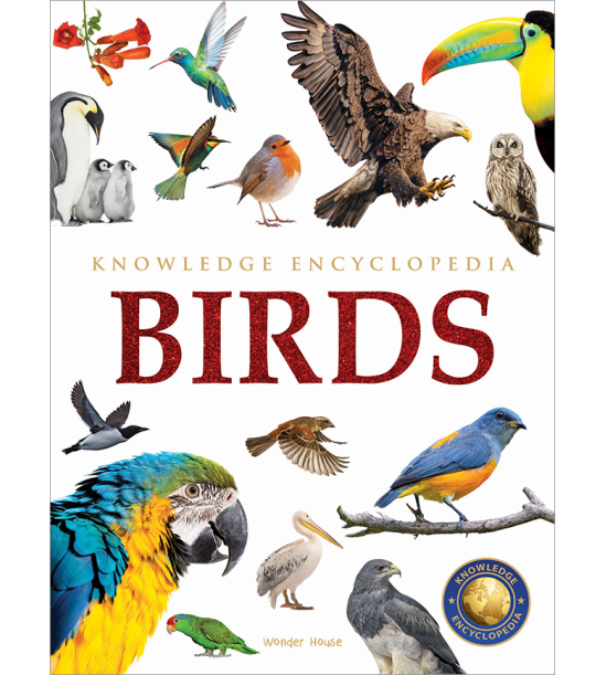 Animals - Birds : Knowledge Encyclopedia For Children