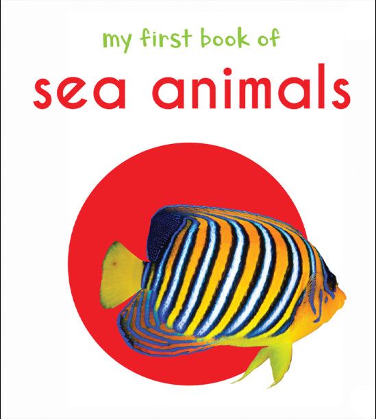 My First Book of Sea Animals: First Board Book