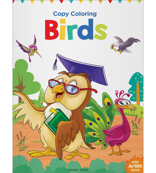 Little Artist Series Birds: Copy Colour Books