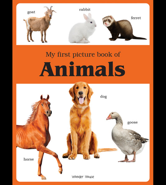 My first picture book of Animals: Picture Books for Children