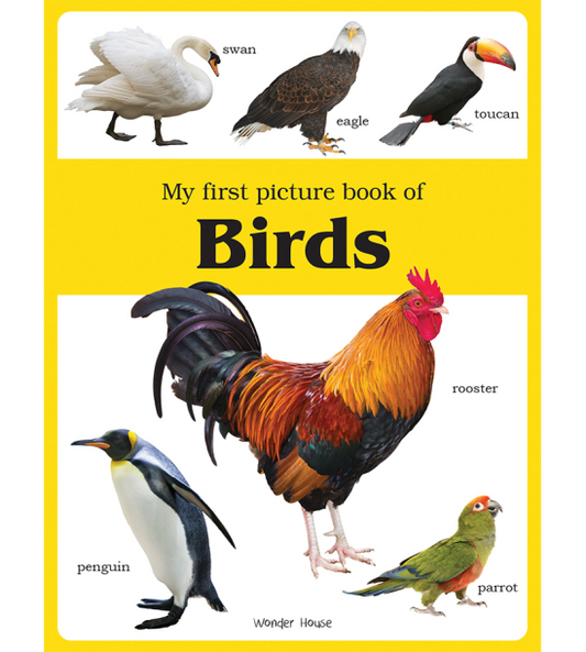 My first picture book of Birds: Picture Books for Children
