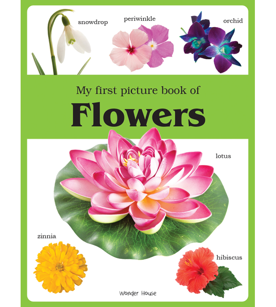 My first picture book of Flowers: Picture Books for Children