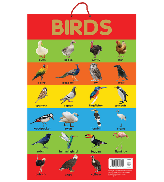 Birds - Early Learning Educational Posters For Children: Perfect For Kindergarten, Nursery and Homes