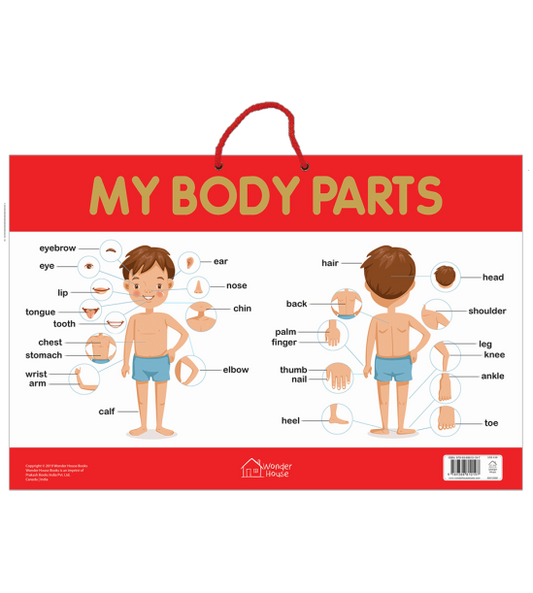 My Body Parts - Early Learning Educational Posters For Children: Perfect For Kindergarten, Nursery a