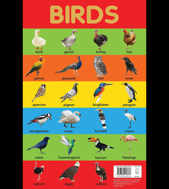 Birds Chart - Early Learning Educational Chart For Kids: Perfect For Homeschooling, Kindergarten and