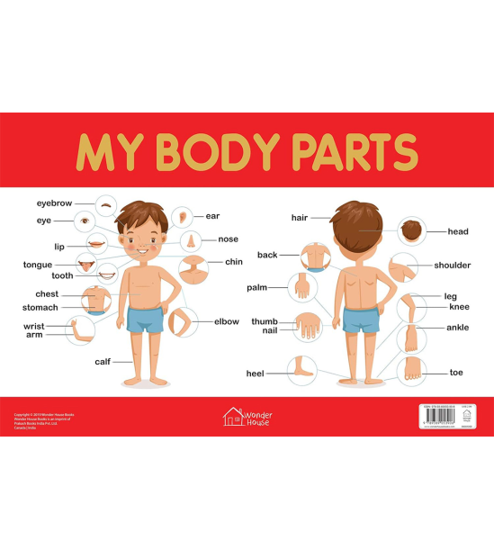 My Body Parts Chart - Early Learning Educational Chart For Kids: Perfect For Homeschooling, Kinderga