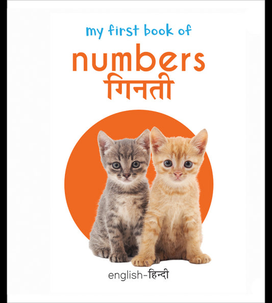 My First Book of Numbers - Ginti (English - Hindi): Bilingual Board Books For Children