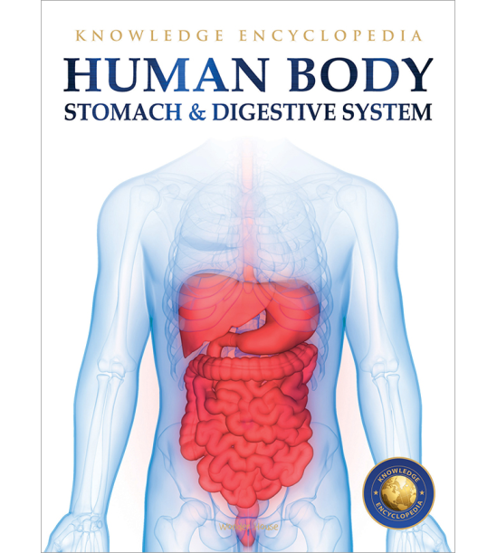 Human Body - Stomach And Digestive System: Knowledge Encyclopedia For Children
