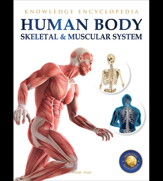 Human Body - Skeletal And Muscular System: Knowledge Encyclopedia For Children