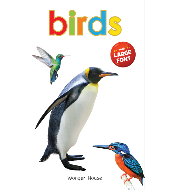 Birds - Early Learning Board Book With Large Font : Big Board Books Series