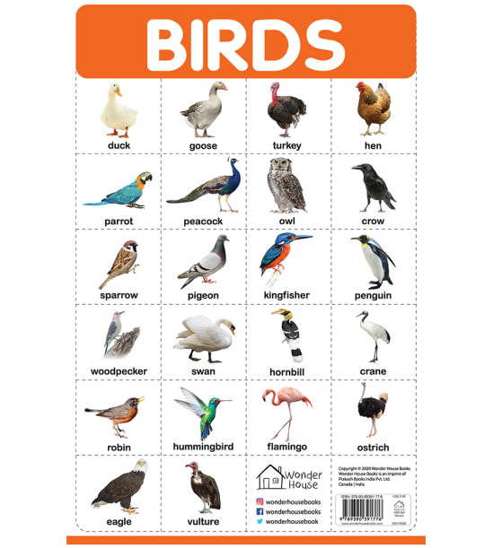 Birds - My First Early Learning Wall Posters: For Preschool, Kindergarten, Nursery And Homeschooling