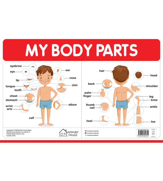 My Body Parts - My First Early Learning Wall Chart: For Preschool, Kindergarten, Nursery And Homesch